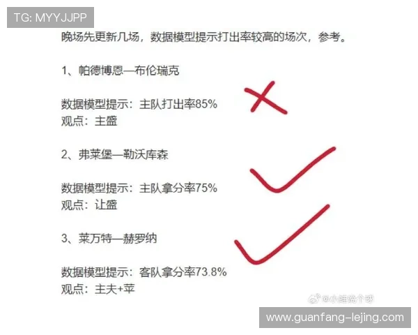 霍芬海姆1899俱乐部最新动态及赛季重要变动分析